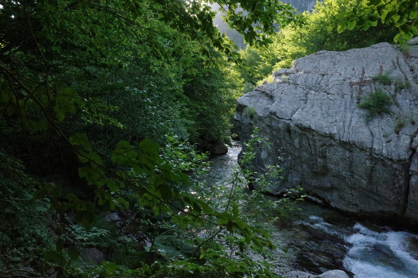 Whitewater