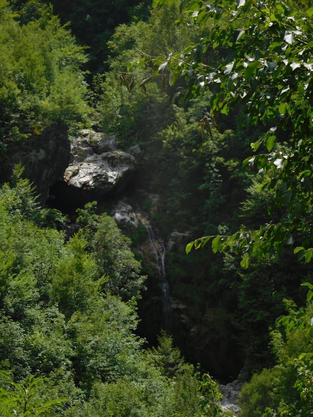 Whitewater