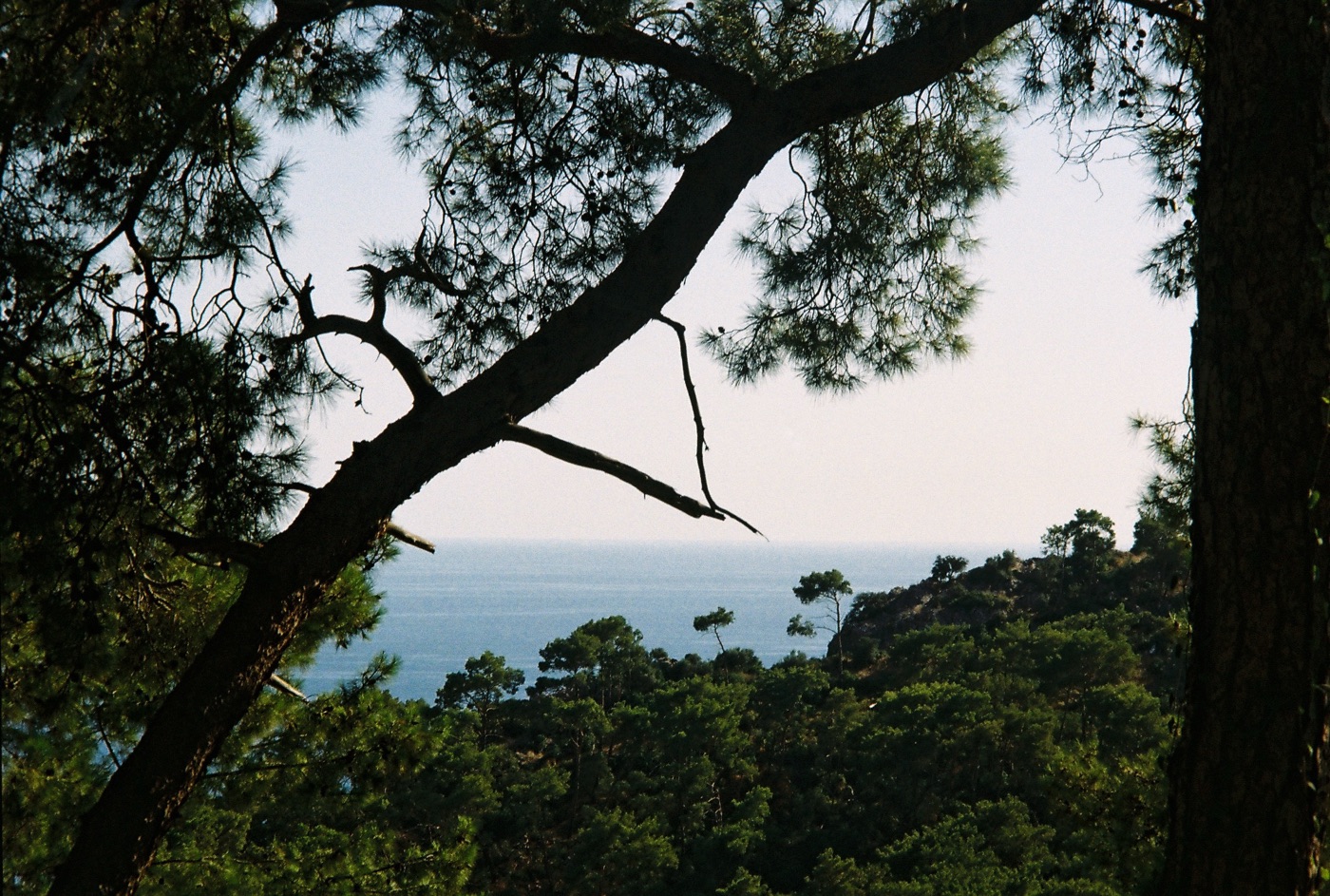 The Ocean, Life, and Renewal