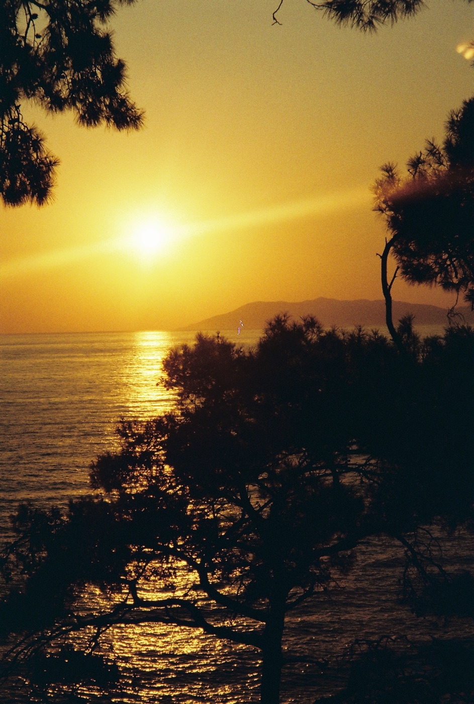 The Ocean, Life, and Renewal